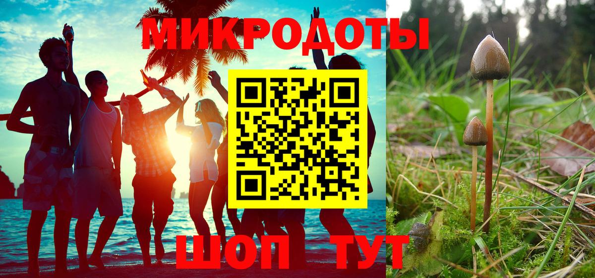 Кандалакша  Галлюциногенные грибы MAGIC MUSHROOMS  Вход с VPN 