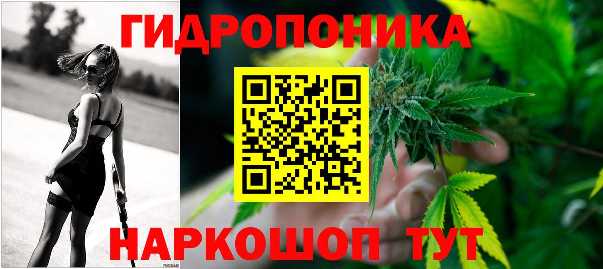 Бошки Шишки Amnesia Кандалакша